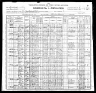 1900 United States Federal Census